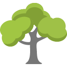 Naples Tree Removal Service