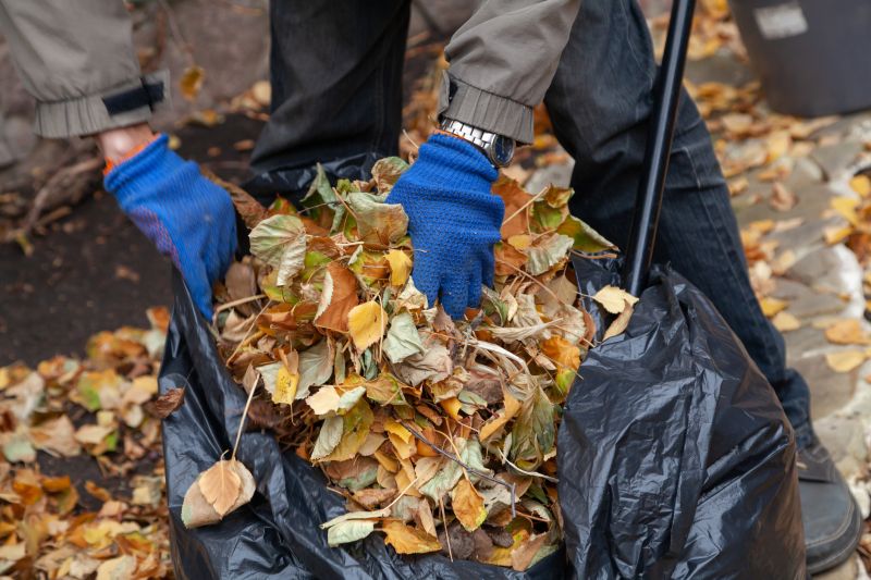 Leaf Removal Services