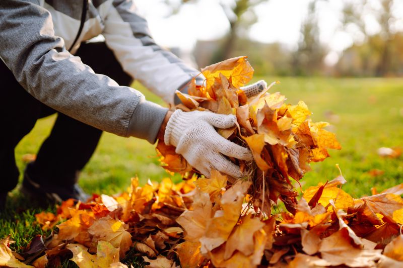 Leaf Collection Strategies