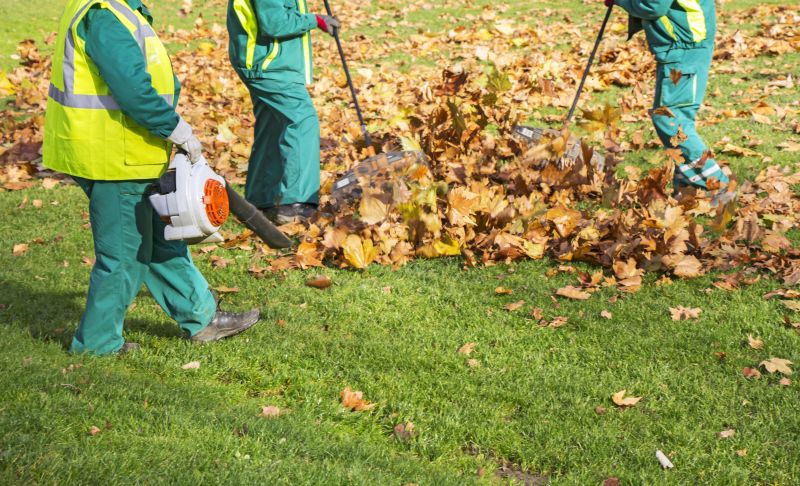 Leaf Removal at Work