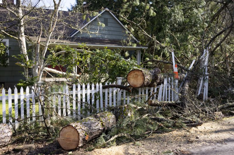 Tree Blocking Path
