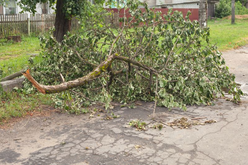 Tree on Sidewalk