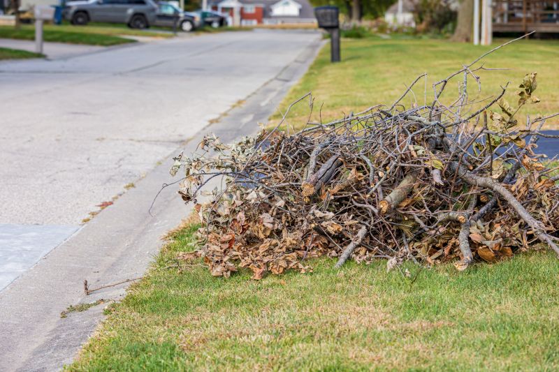 Tree Removal Service