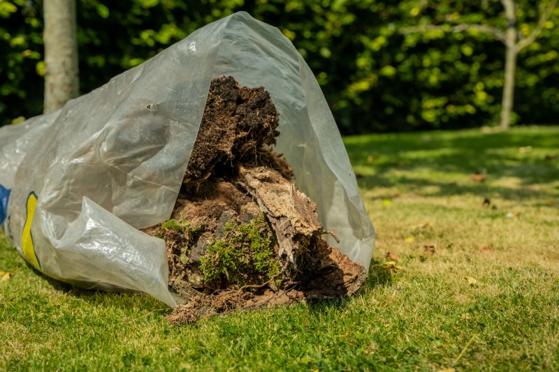 Summer Tree Cutting