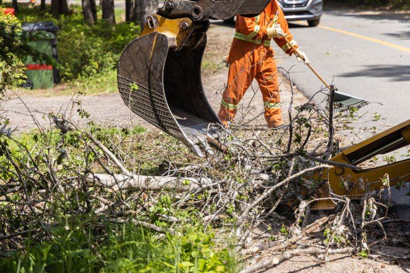 Heavy Machinery in Action