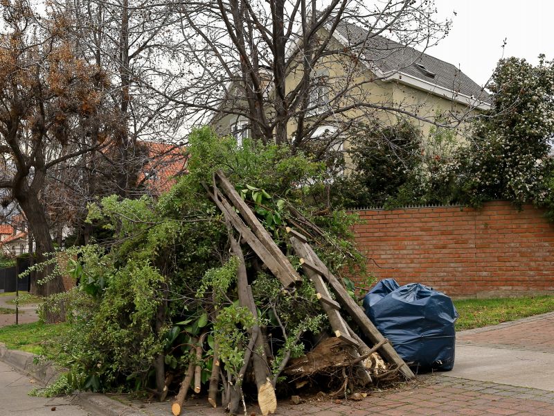 Cleanup After Removal